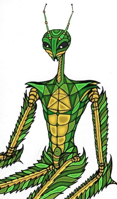 The Praying Mantis as a Symbol of Balance and Harmony in Occult Beliefs